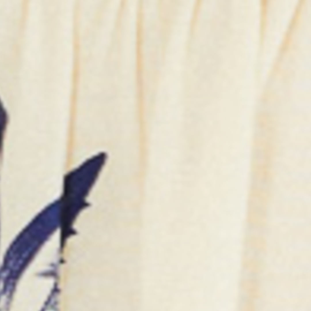 Vestido Mini Estampado Mar de Estrellas