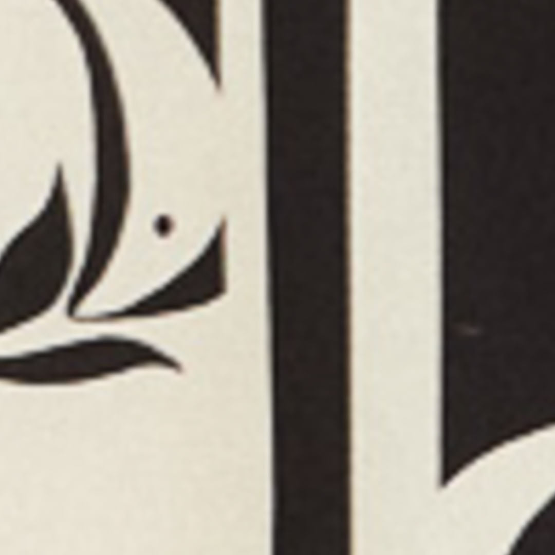 Vestido T-Shirt Estampado Peces