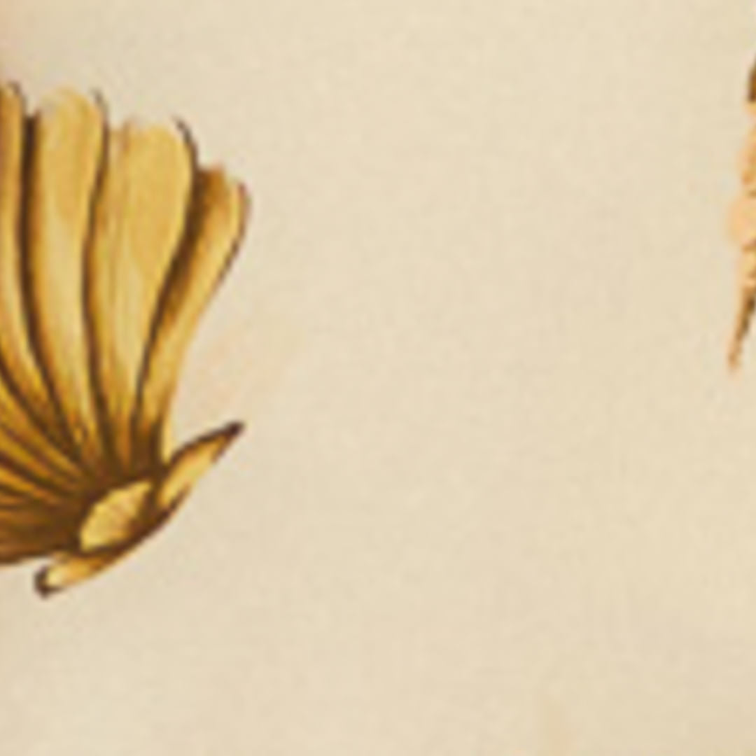 Vestido Mini Estampado Mar de Recuerdo