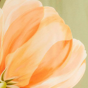 Blusa Estampada Amarilis