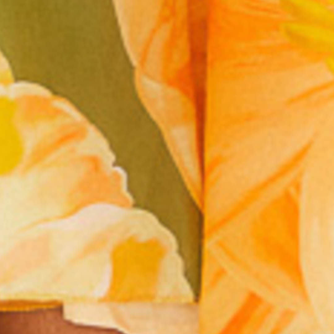 Vestido Corto Estampado Amarilis