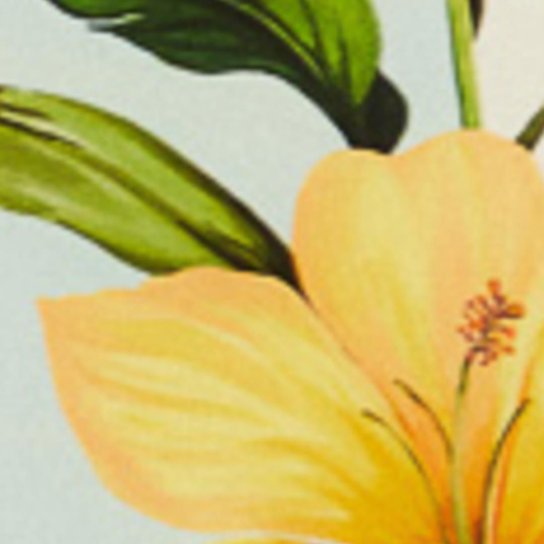 Vestido Hombros Só Estampado Floral Samanta