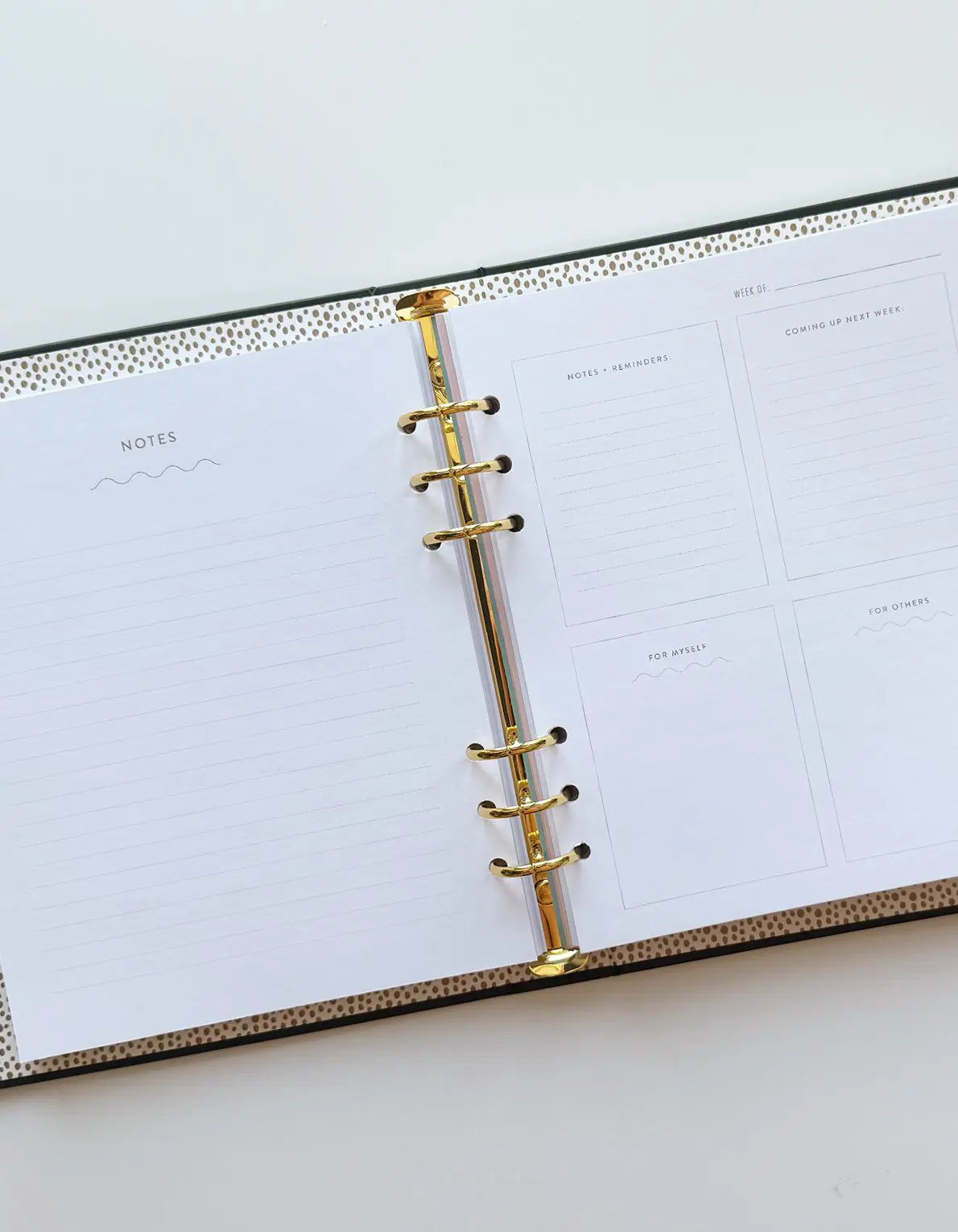 Great Year Refillable Perpetual Planner