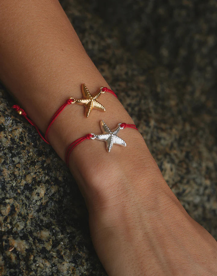 Estrella de mar Friendship Bracelets
