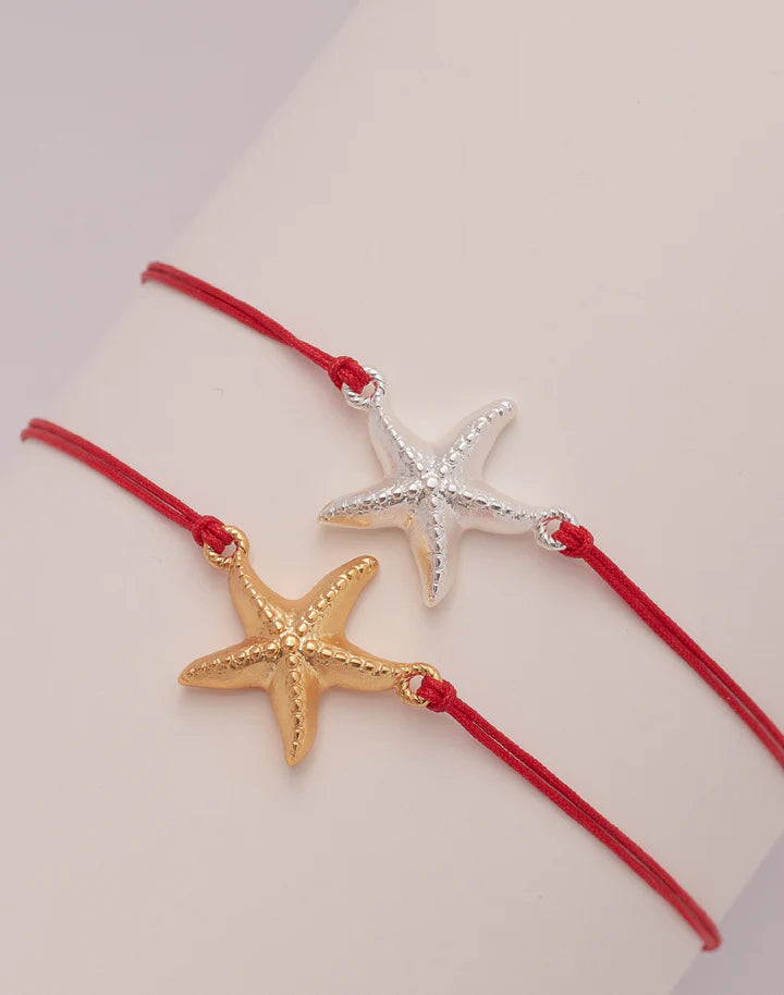 Estrella de mar Friendship Bracelets