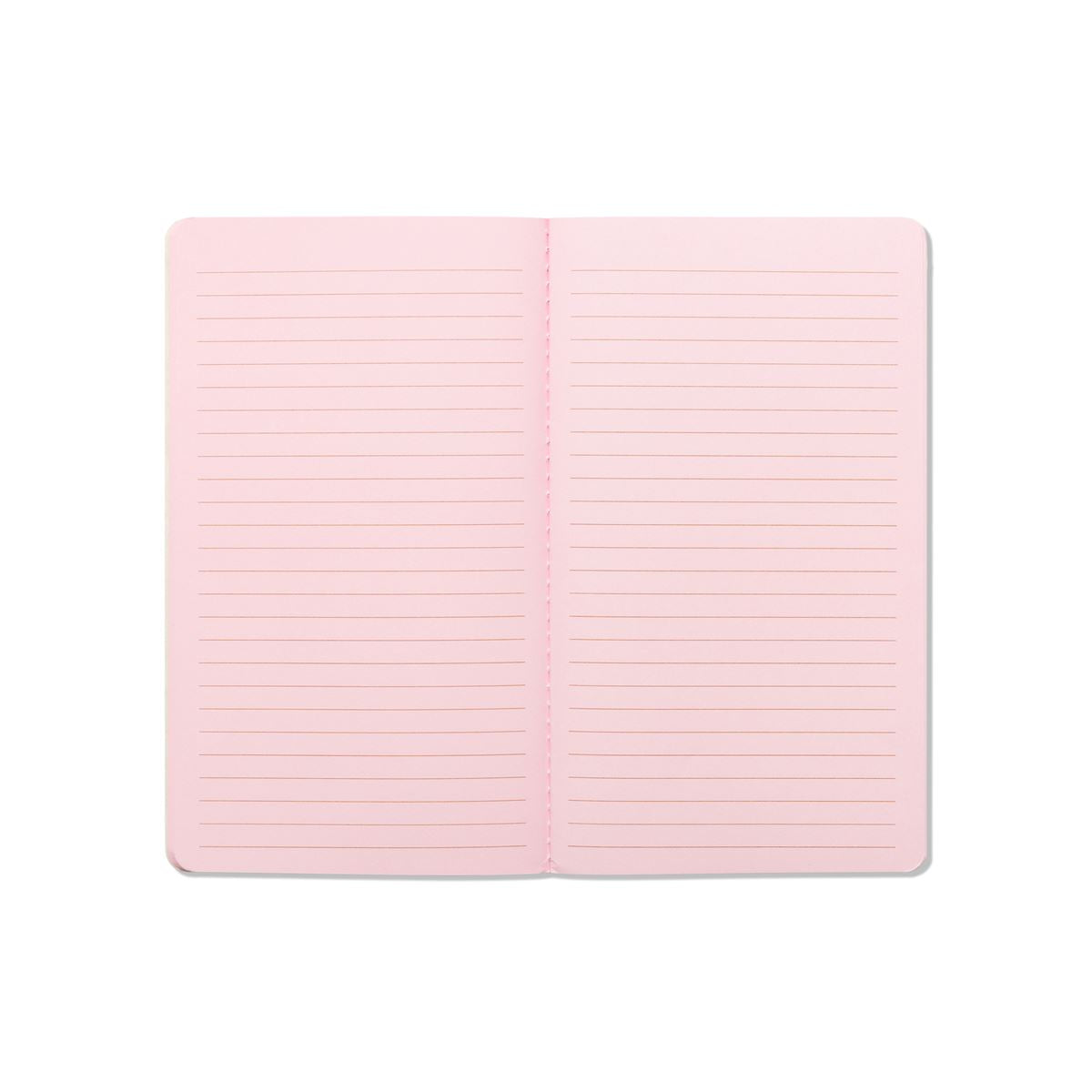 Set of 3 Notebooks